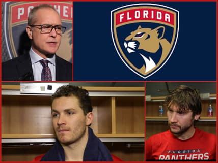 Florida panthers