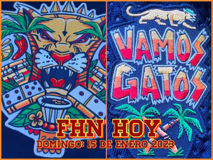 Florida panthers
