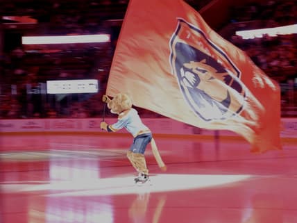 Panthers rangers