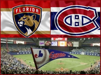 Florida panthers canadiens