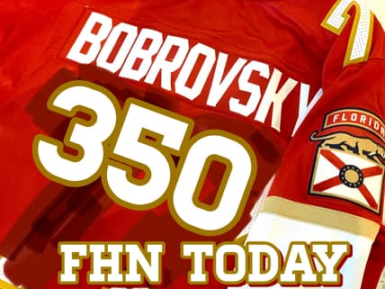 Florida panthers
