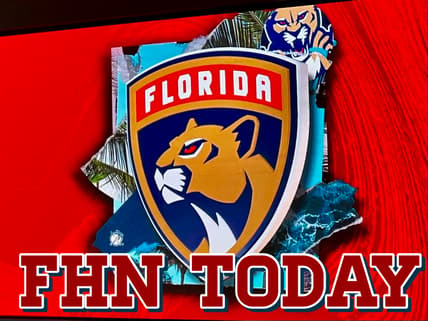 Florida panthers