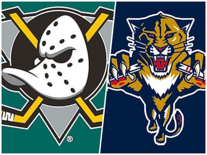 Florida panthers