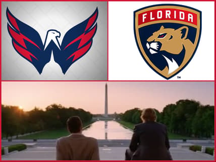 Florida panthers