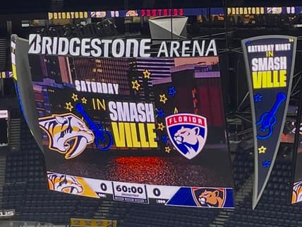 Florida panthers