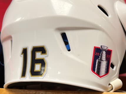Panthers bruins