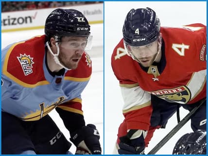 Florida panthers