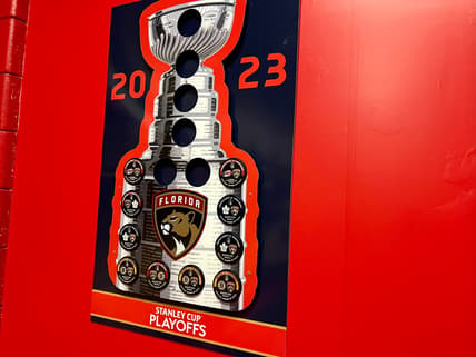 Panthers hurricanes