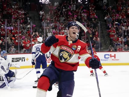 Florida panthers
