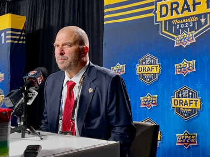 Florida panthers
