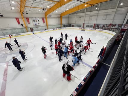 Florida panthers