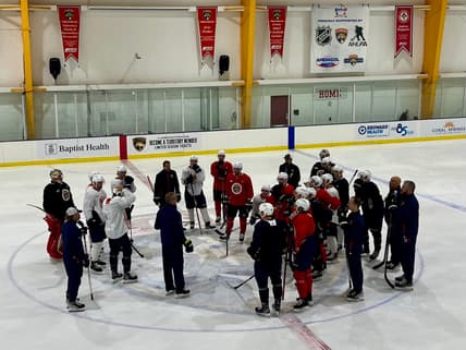 Florida panthers
