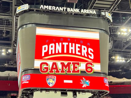 Panthers sharks