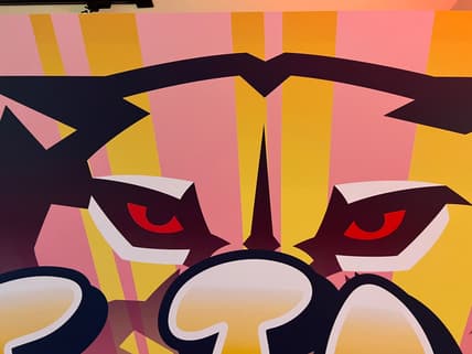 Florida panthers