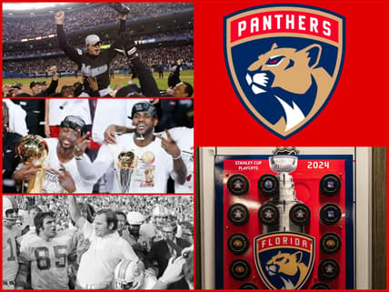 Florida panthers