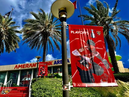 Florida panthers