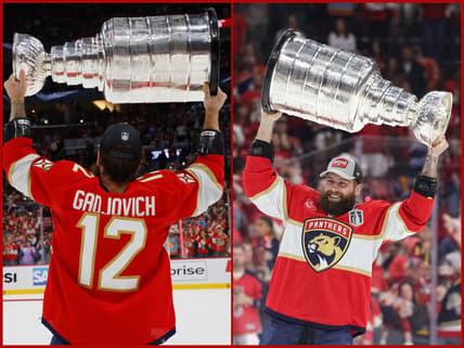 Florida panthers