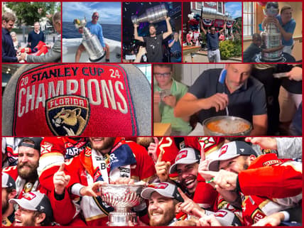 Florida panthers