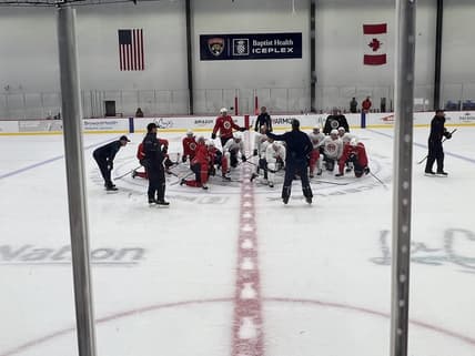 Florida panthers
