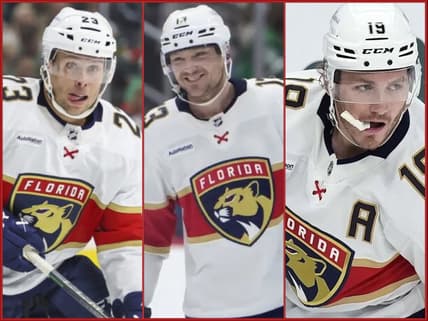 Florida panthers