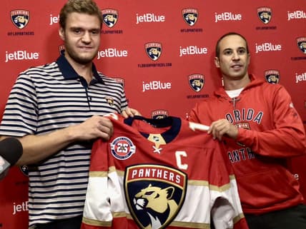 Florida panthers