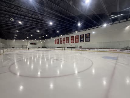 Florida panthers