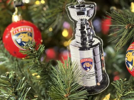 Florida panthers gift