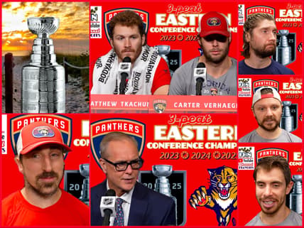 Florida panthers stanley cup