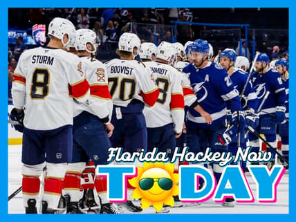 Florida panthers