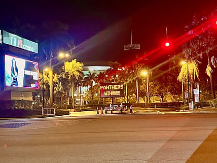 Florida panthers