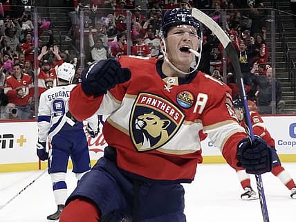 Florida panthers
