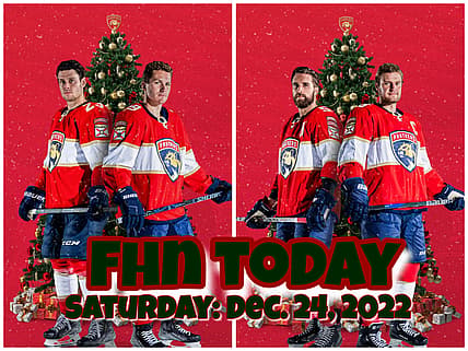 Florida panthers