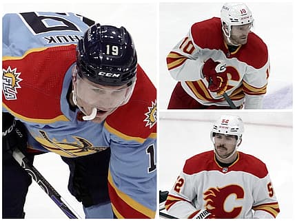Florida panthers