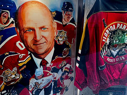 Florida panthers