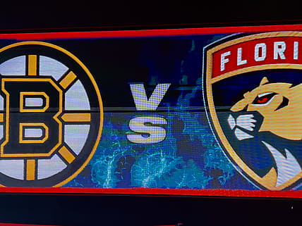Panthers bruins