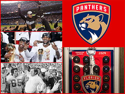 Florida panthers