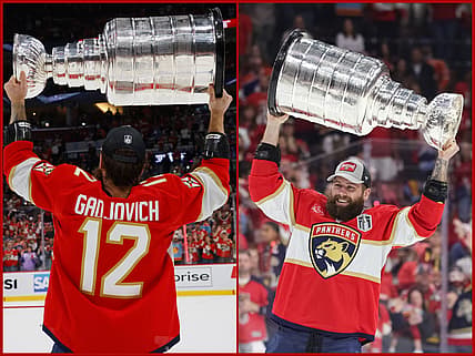 Florida panthers