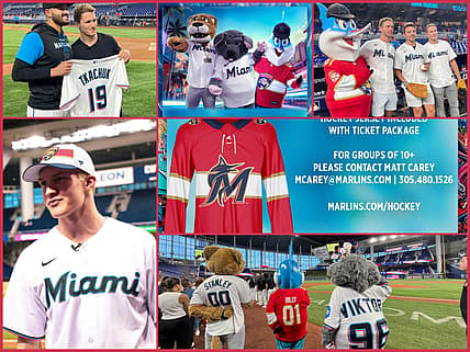 Florida panthers