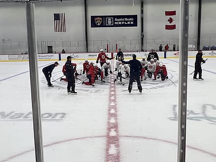 Florida panthers