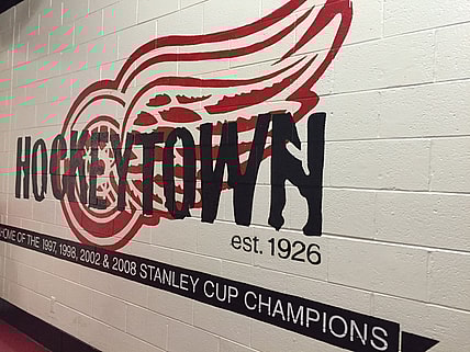 Panthers Detroit Florida Wings