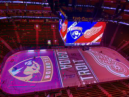 Florida Panthers Detroit Wings