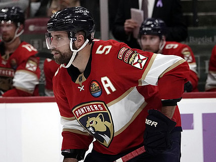 Florida panthers