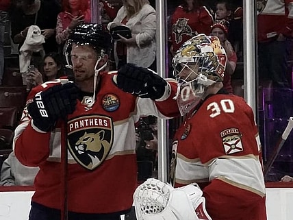 Florida panthers