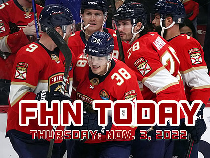 Florida panthers