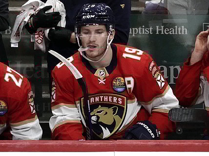 Florida panthers