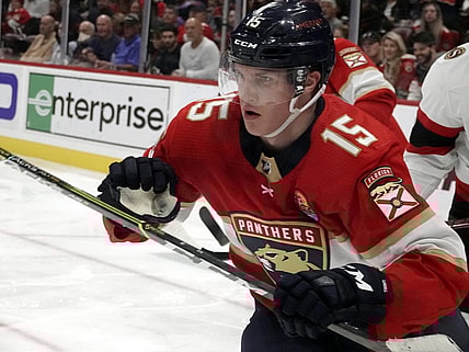 Florida panthers