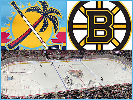 Florida Panthers Boston Bruins