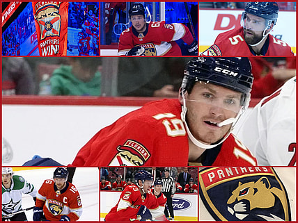 Florida panthers