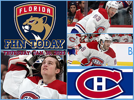 Florida panthers