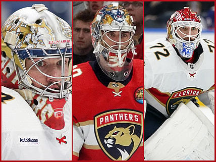 Florida panthers